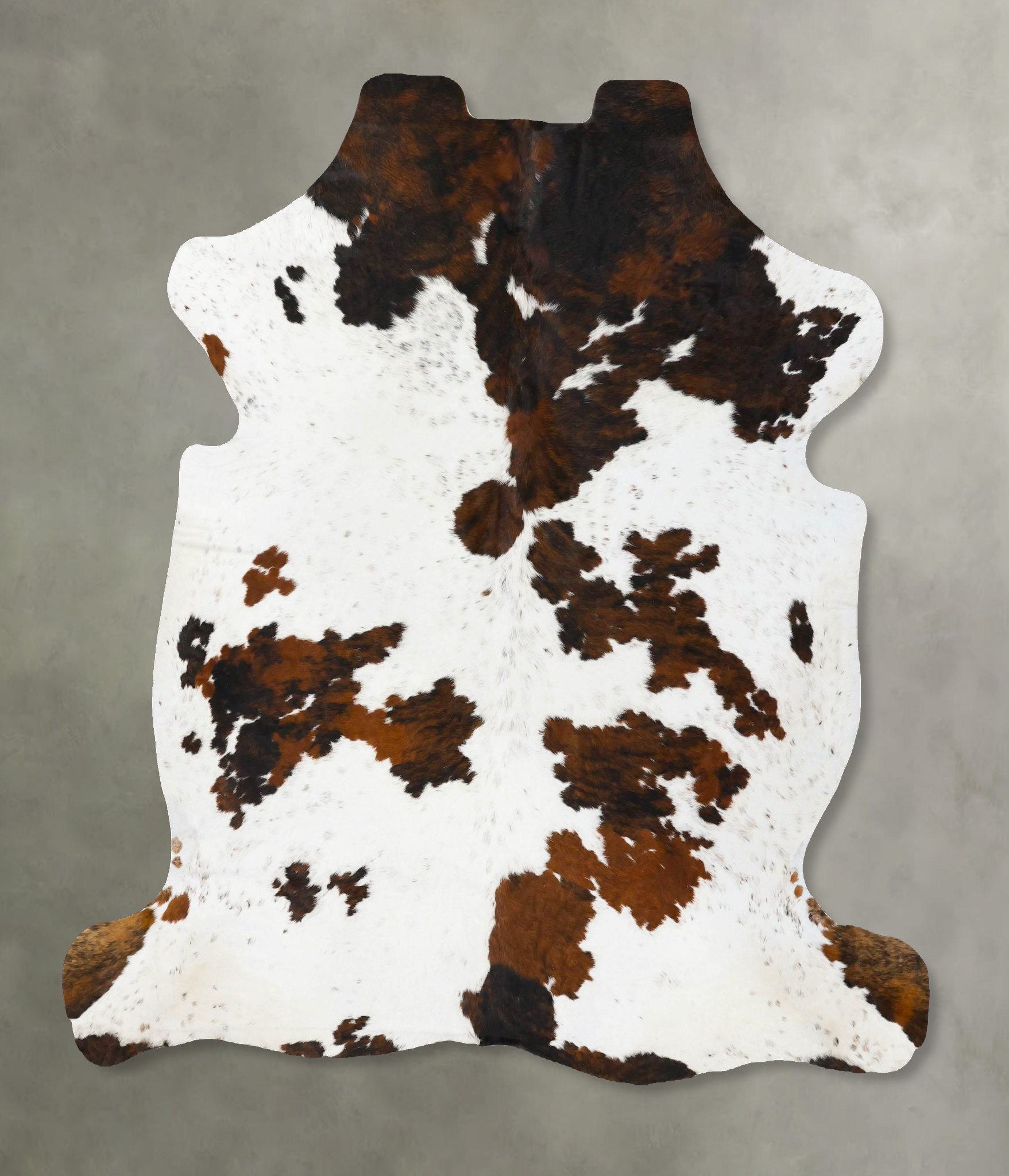 Tricolor Cowhide Rug #B23767