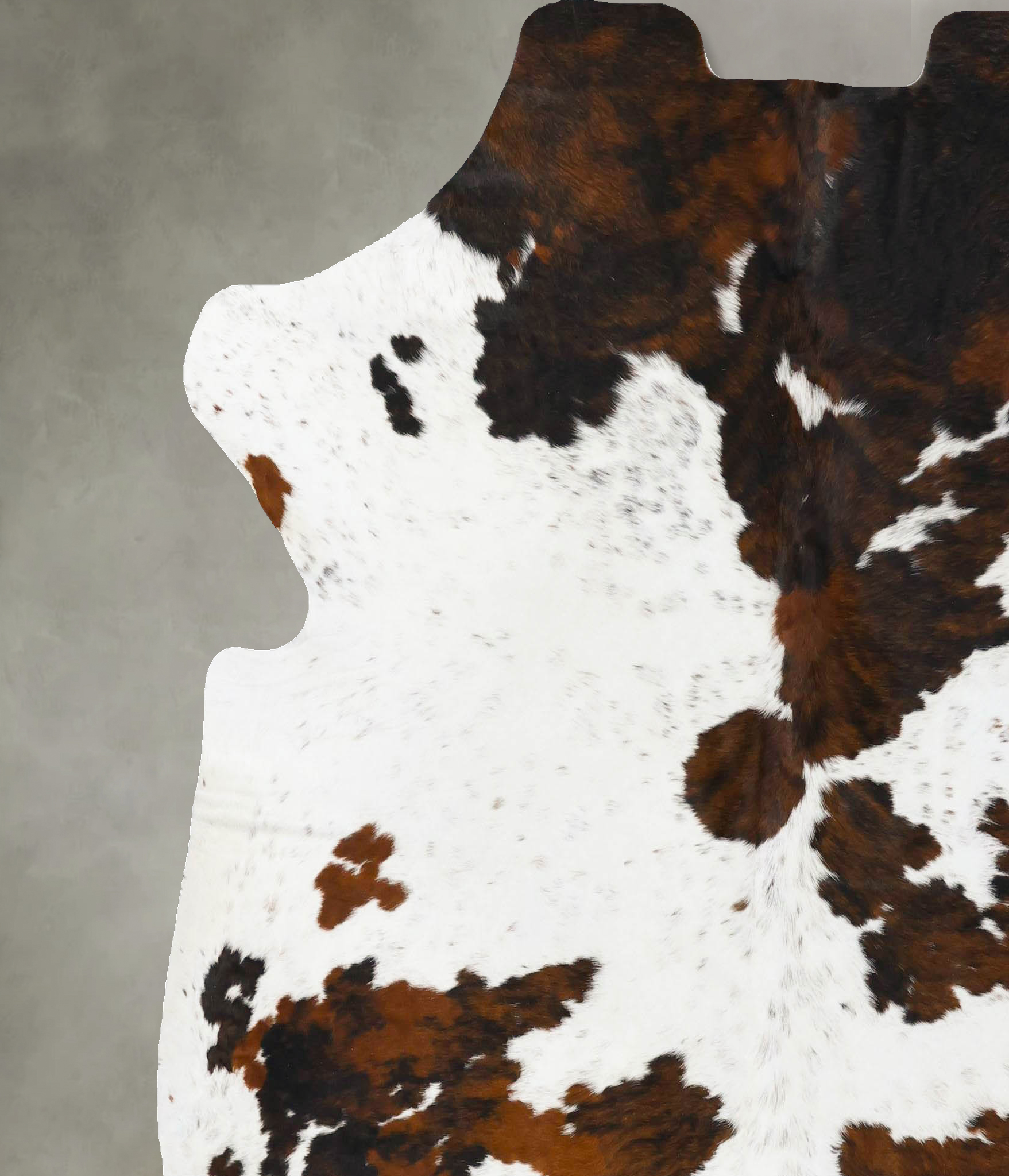 Tricolor Cowhide Rug #B23767