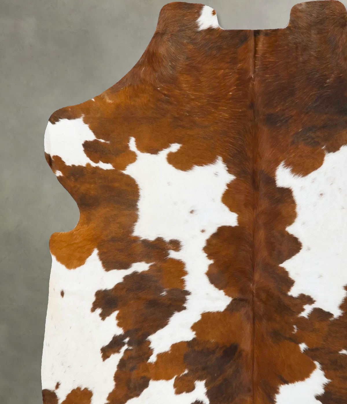 Tricolor X-Large European Cowhide Rug 6'9"H x 6'3"W #B23769 by Hudson Hides