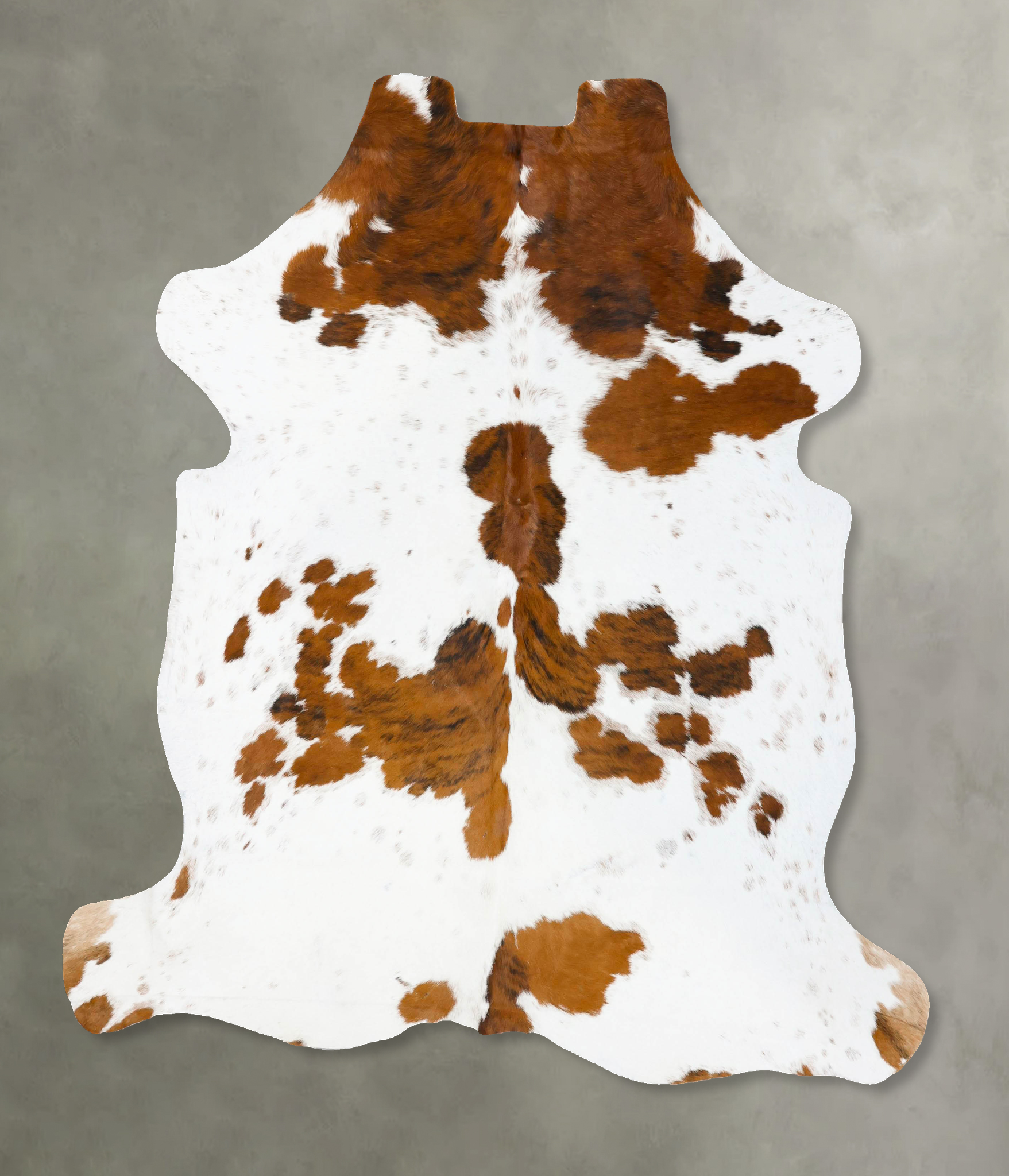 Tricolor Cowhide Rug #B23772