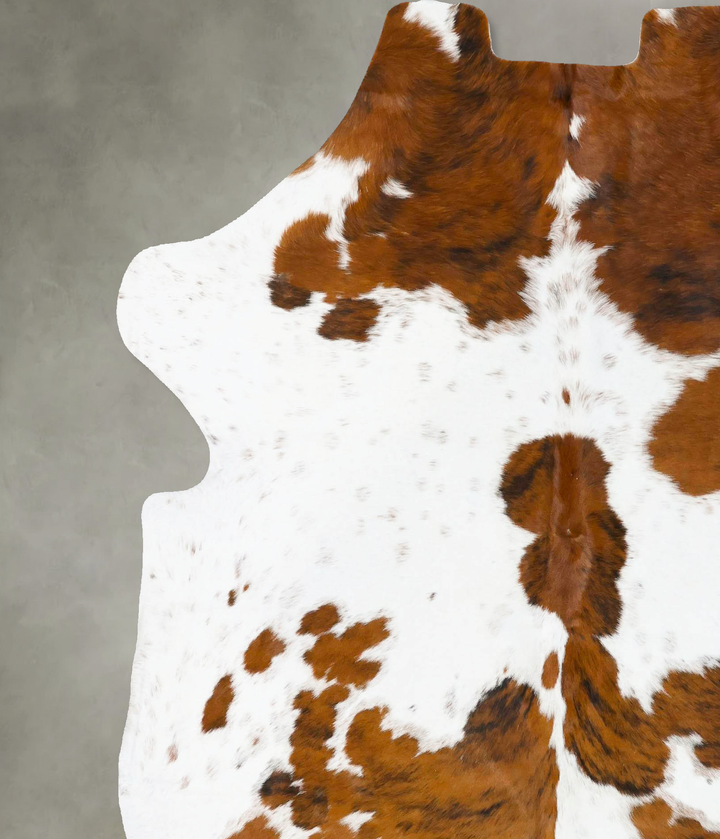 Tricolor X-Large European Cowhide Rug 7'4"H x 6'4"W #B23772 by Hudson Hides