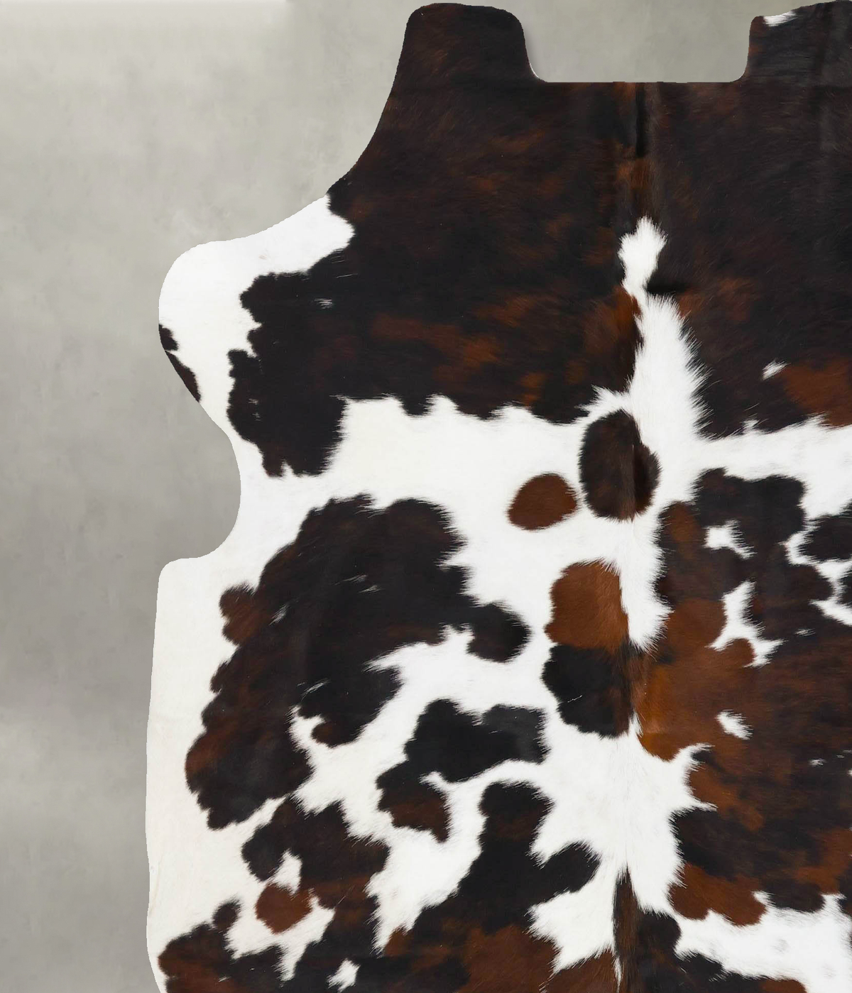 Tricolor X-Large European Cowhide Rug 7'0"H x 6'6"W #B23773 by Hudson Hides