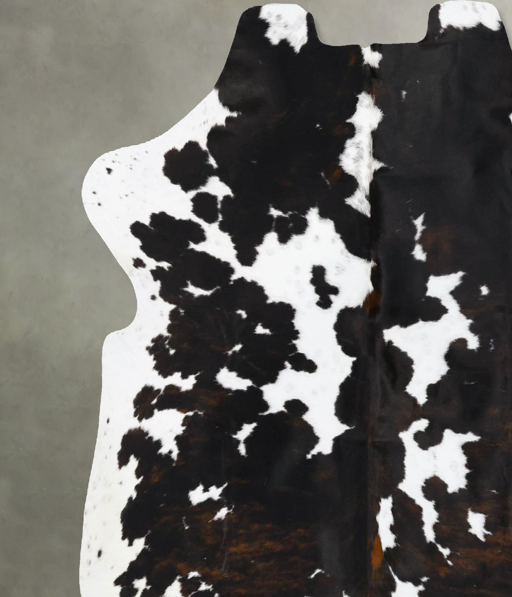 Tricolor Cowhide Rug #B23775