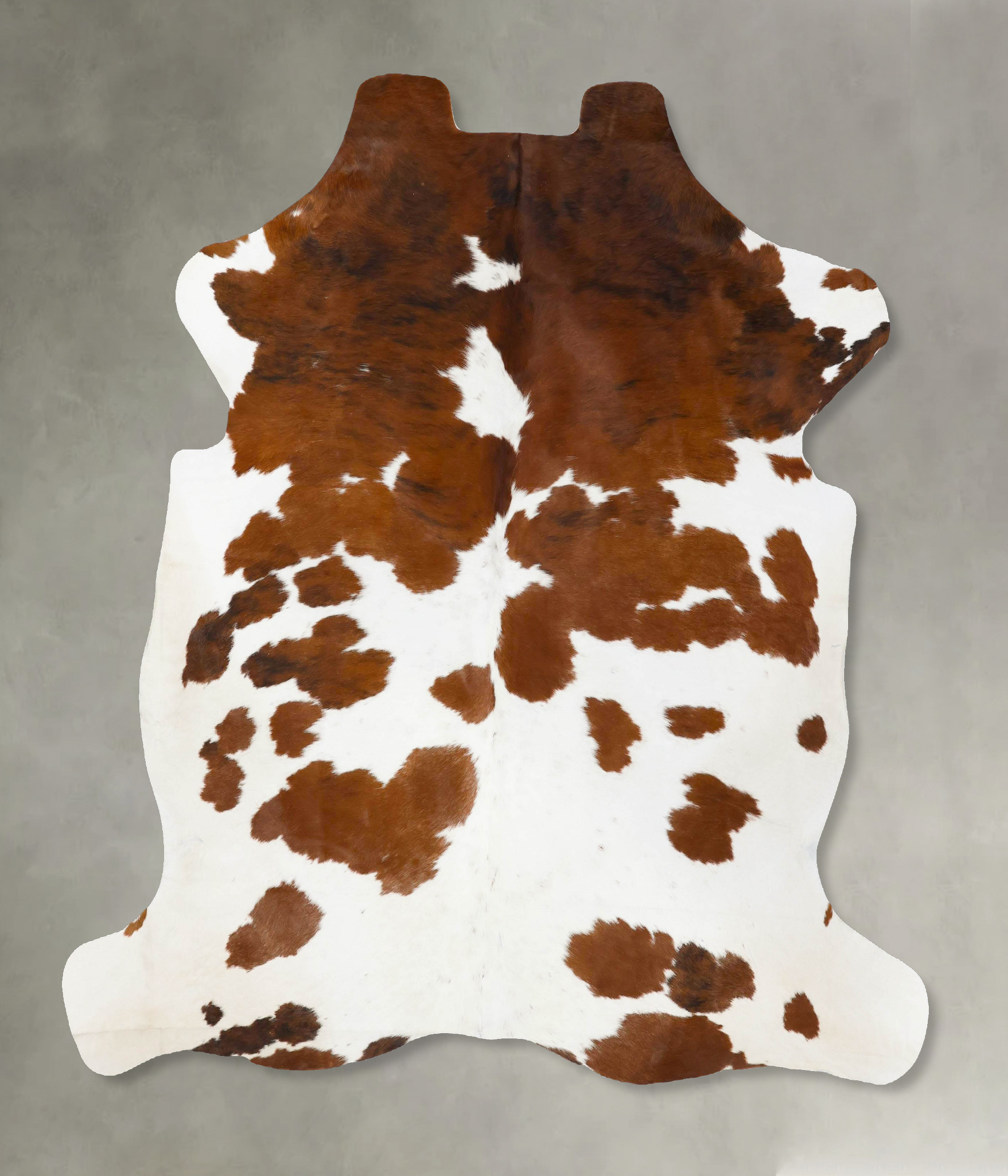 Tricolor Cowhide Rug #B23776