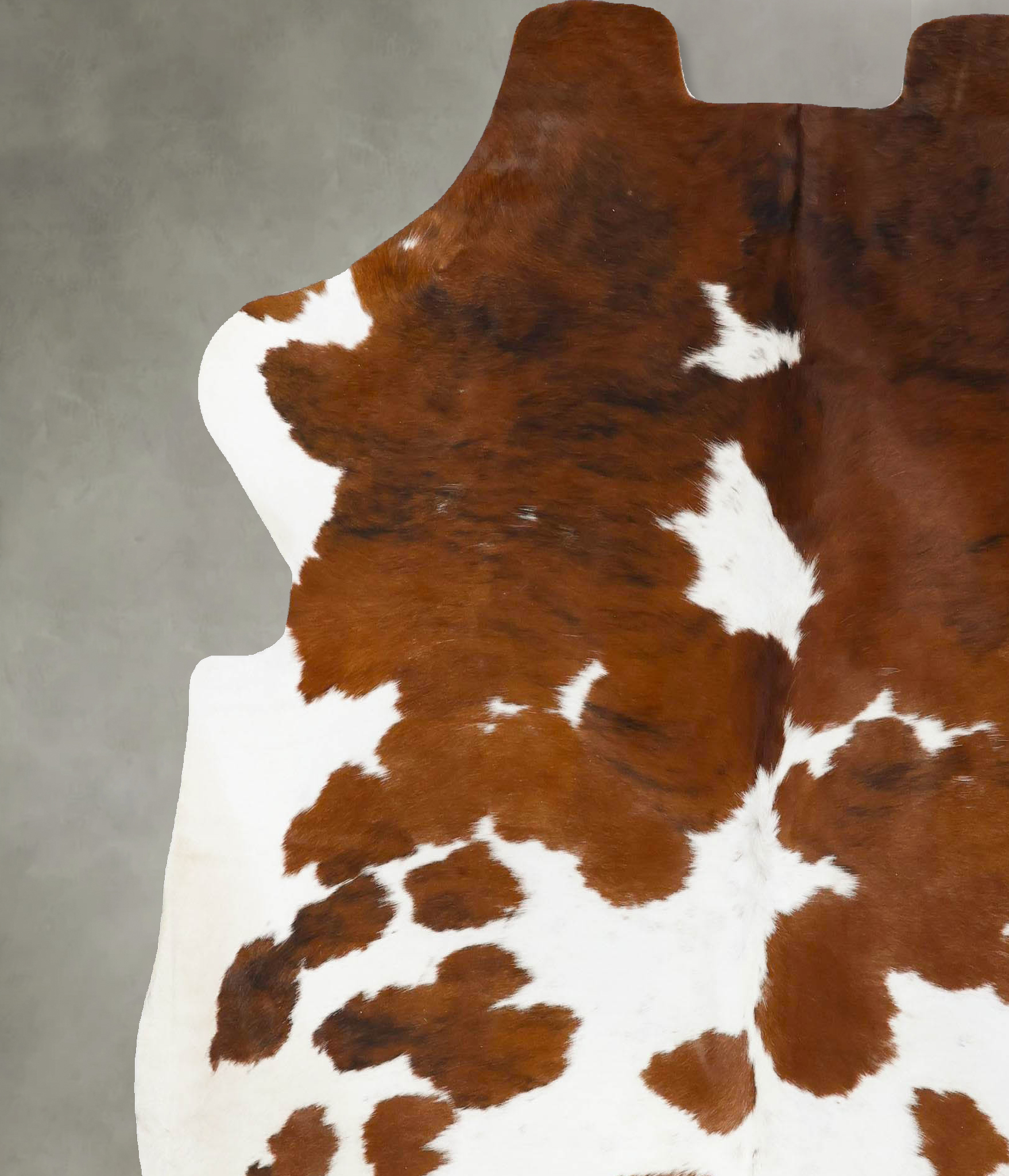 Tricolor Cowhide Rug #B23776