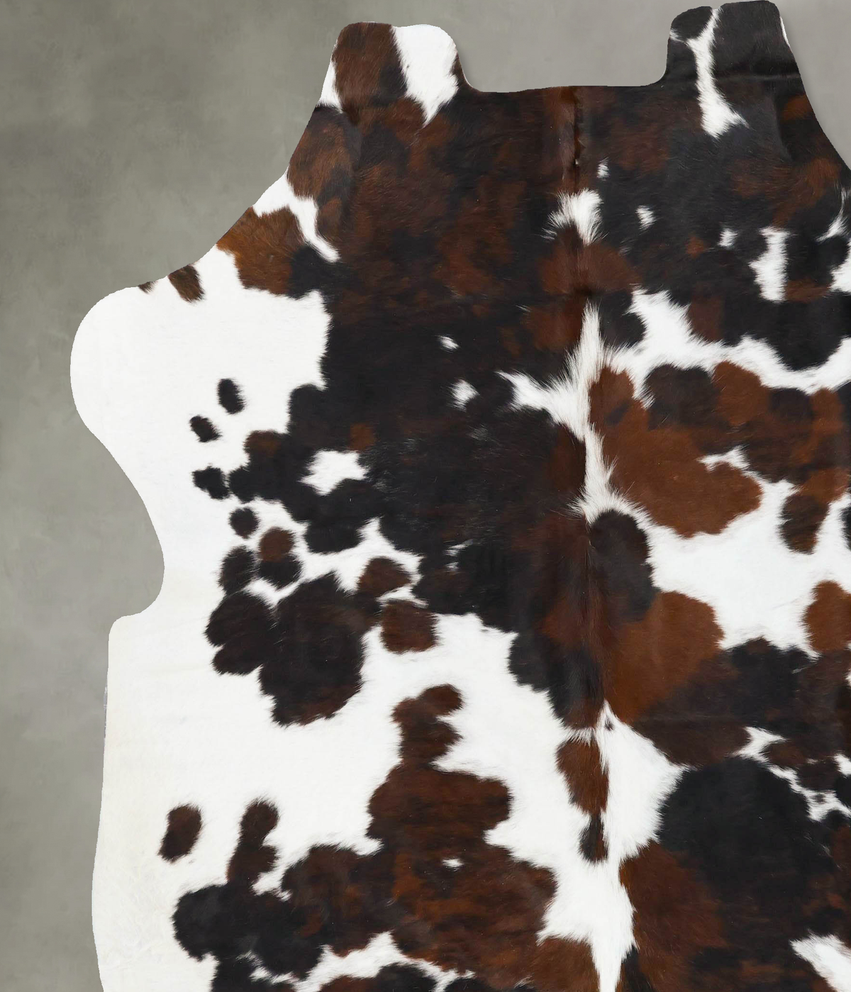 Tricolor XX-Large European Cowhide Rug 7'9"H x 6'11"W #B23787 by Hudson Hides