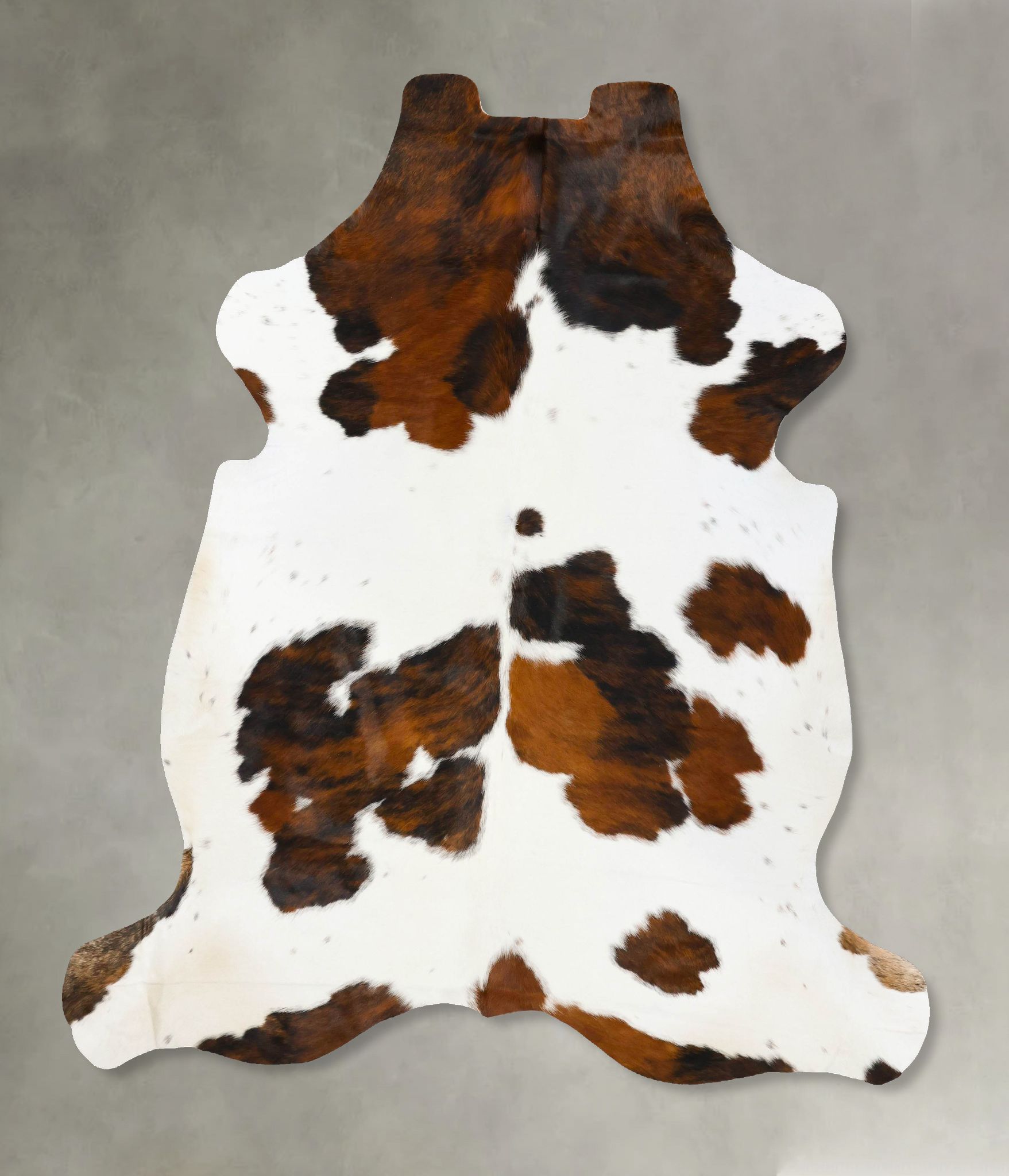Tricolor Cowhide Rug #B23794