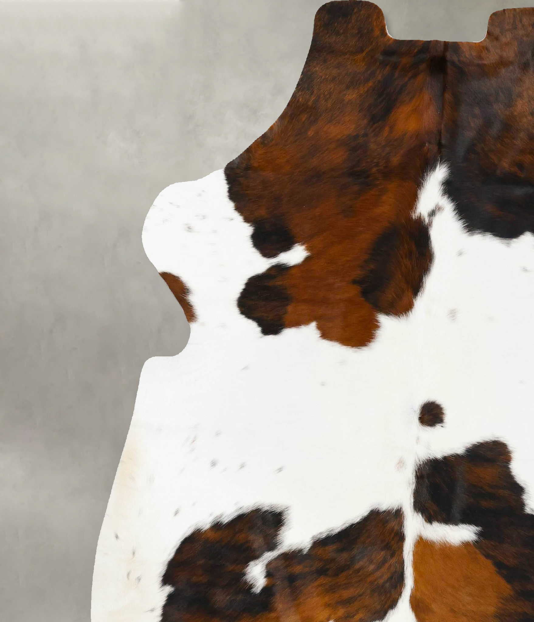 Tricolor Cowhide Rug #B23794