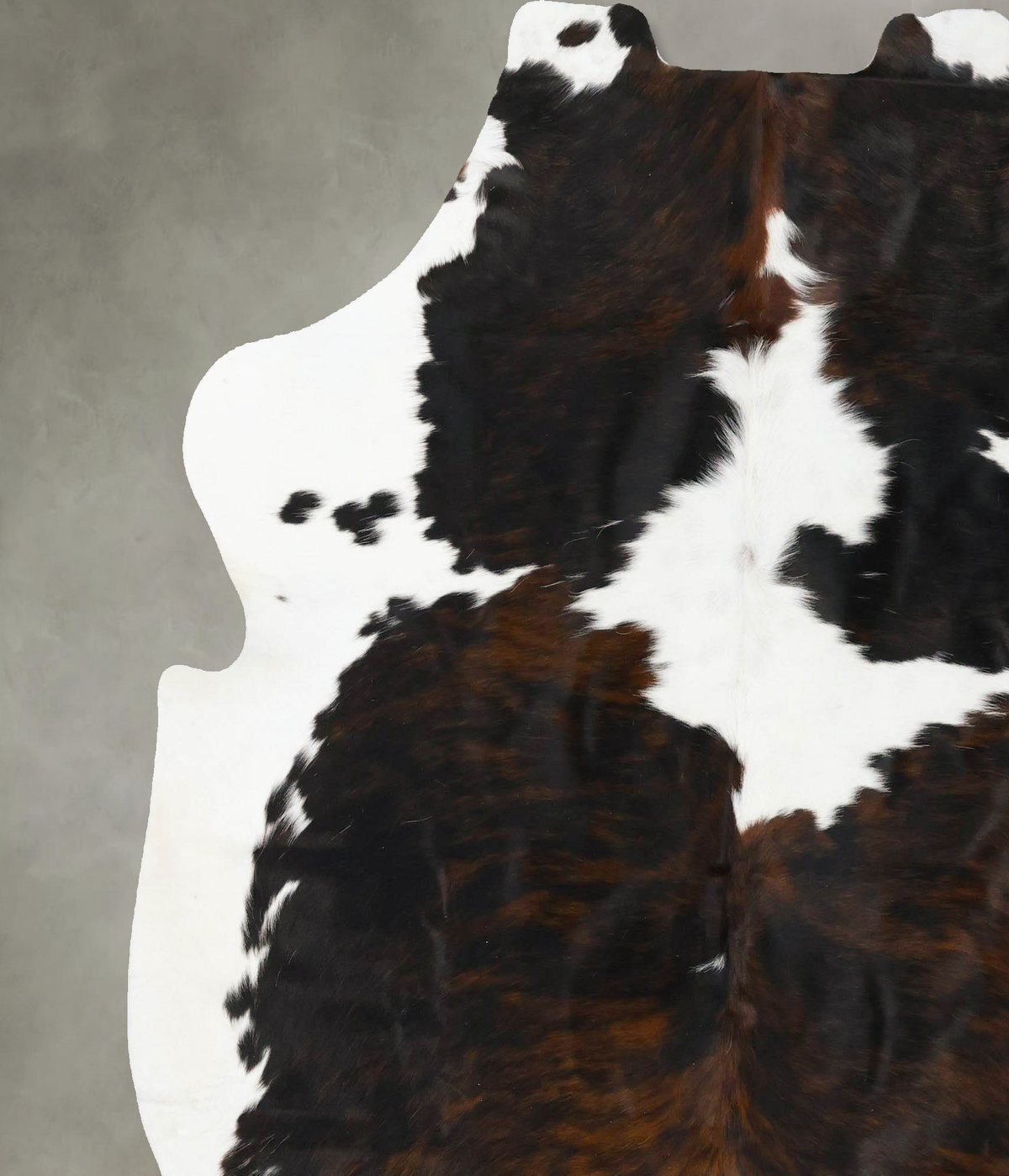 Tricolor X-Large European Cowhide Rug 7'2"H x 6'8"W #B23796 by Hudson Hides