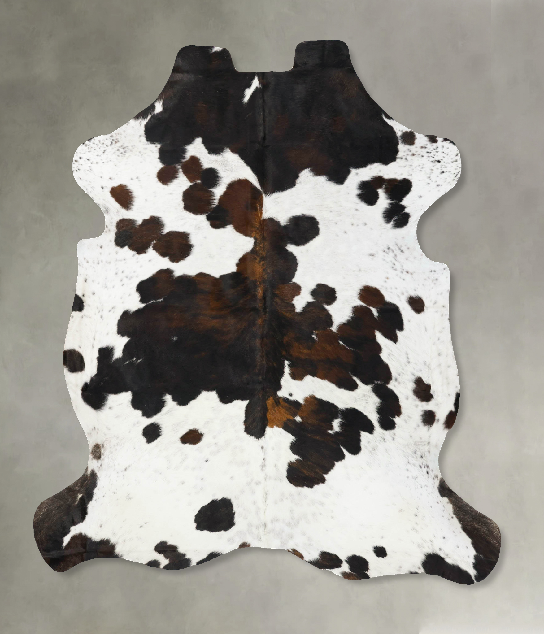 Tricolor Cowhide Rug #B23798