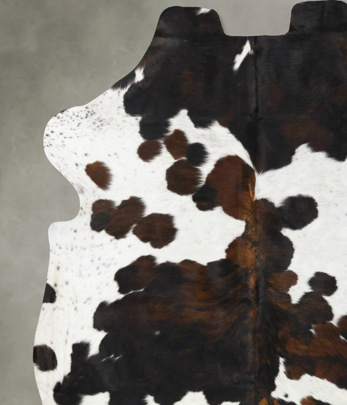 Tricolor X-Large European Cowhide Rug 7'6"H x 6'6"W #B23798 by Hudson Hides