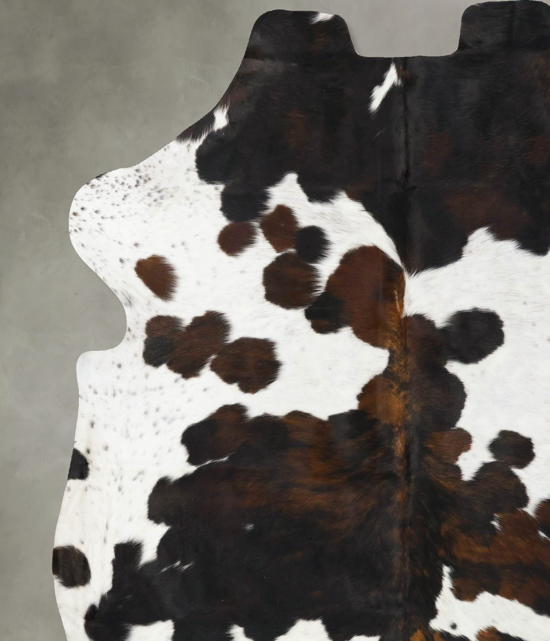 Tricolor Cowhide Rug #B23798