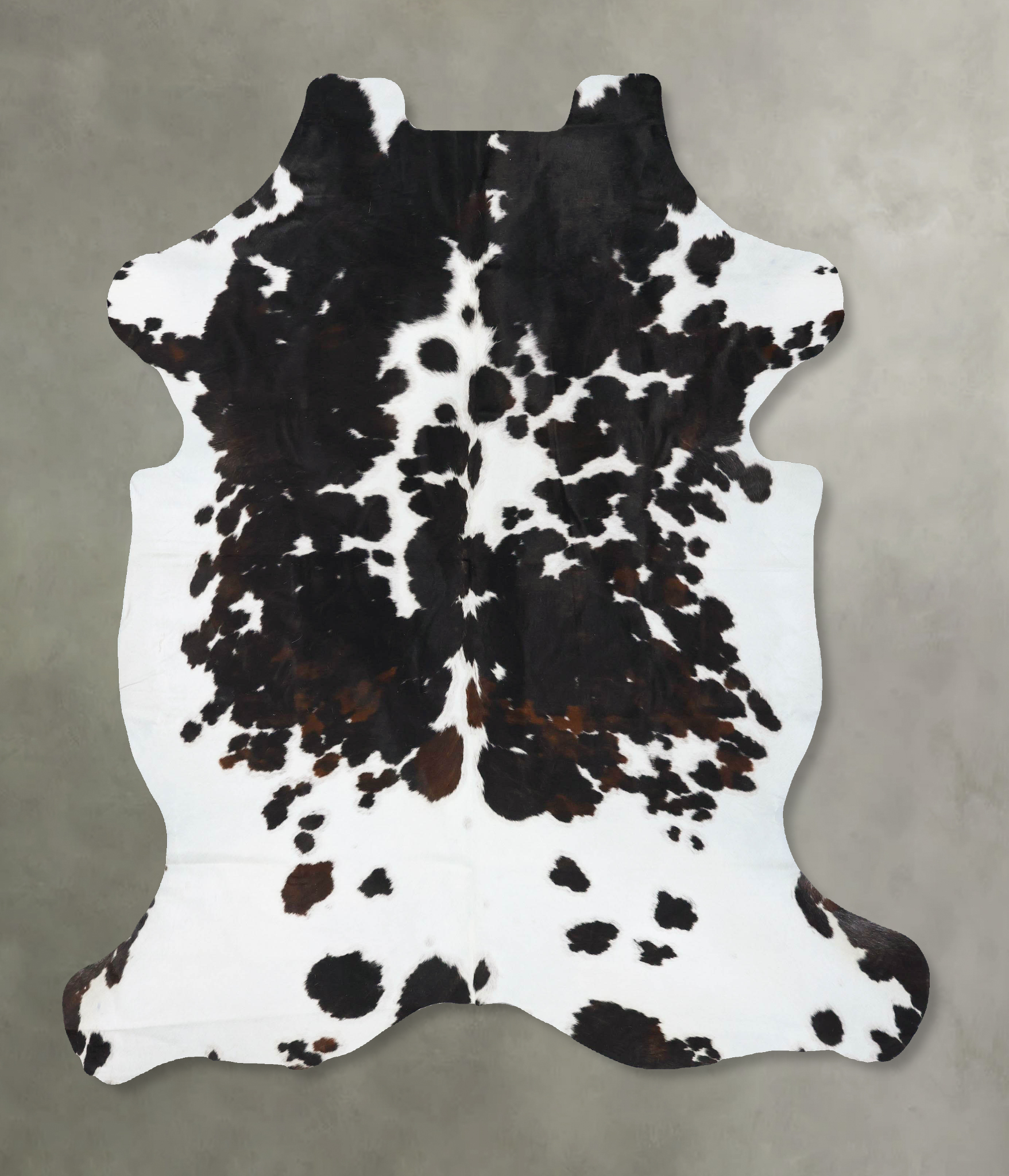 Tricolor Cowhide Rug #B23801
