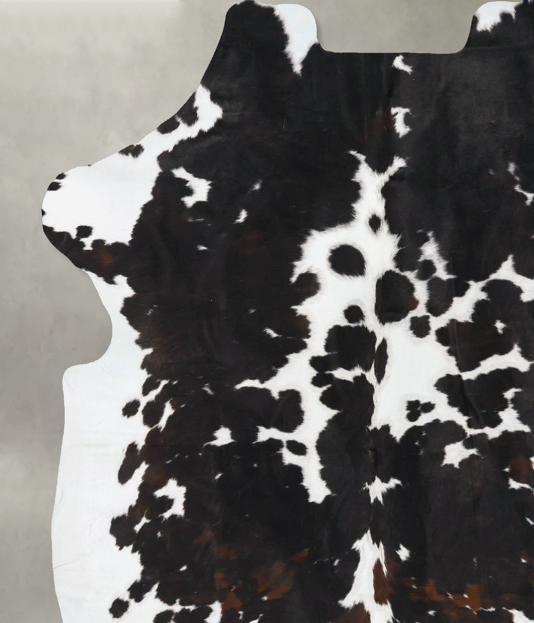 Tricolor Cowhide Rug #B23801