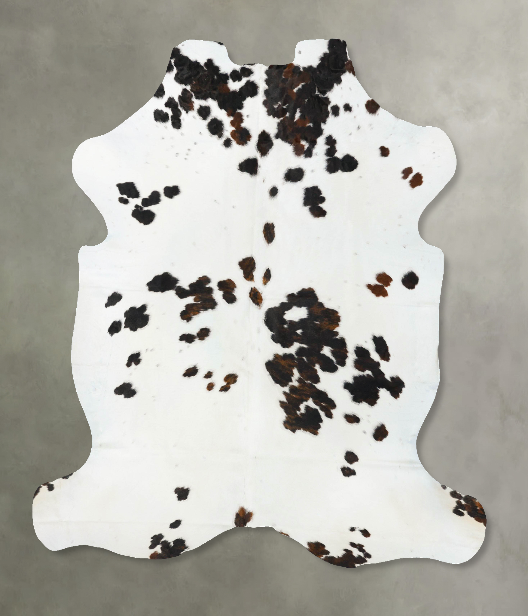 Tricolor Cowhide Rug #B23811
