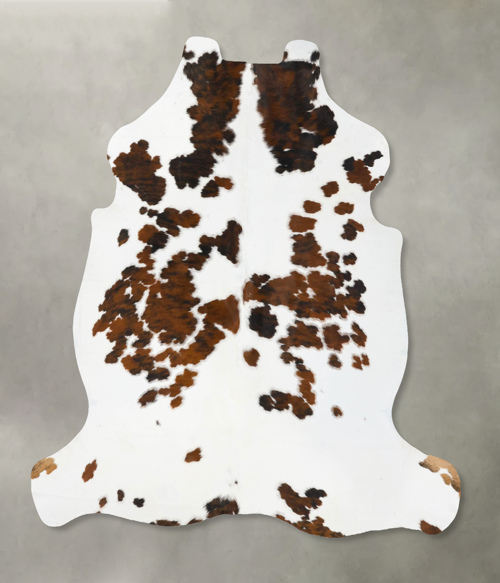 Tricolor Cowhide Rug #B23813