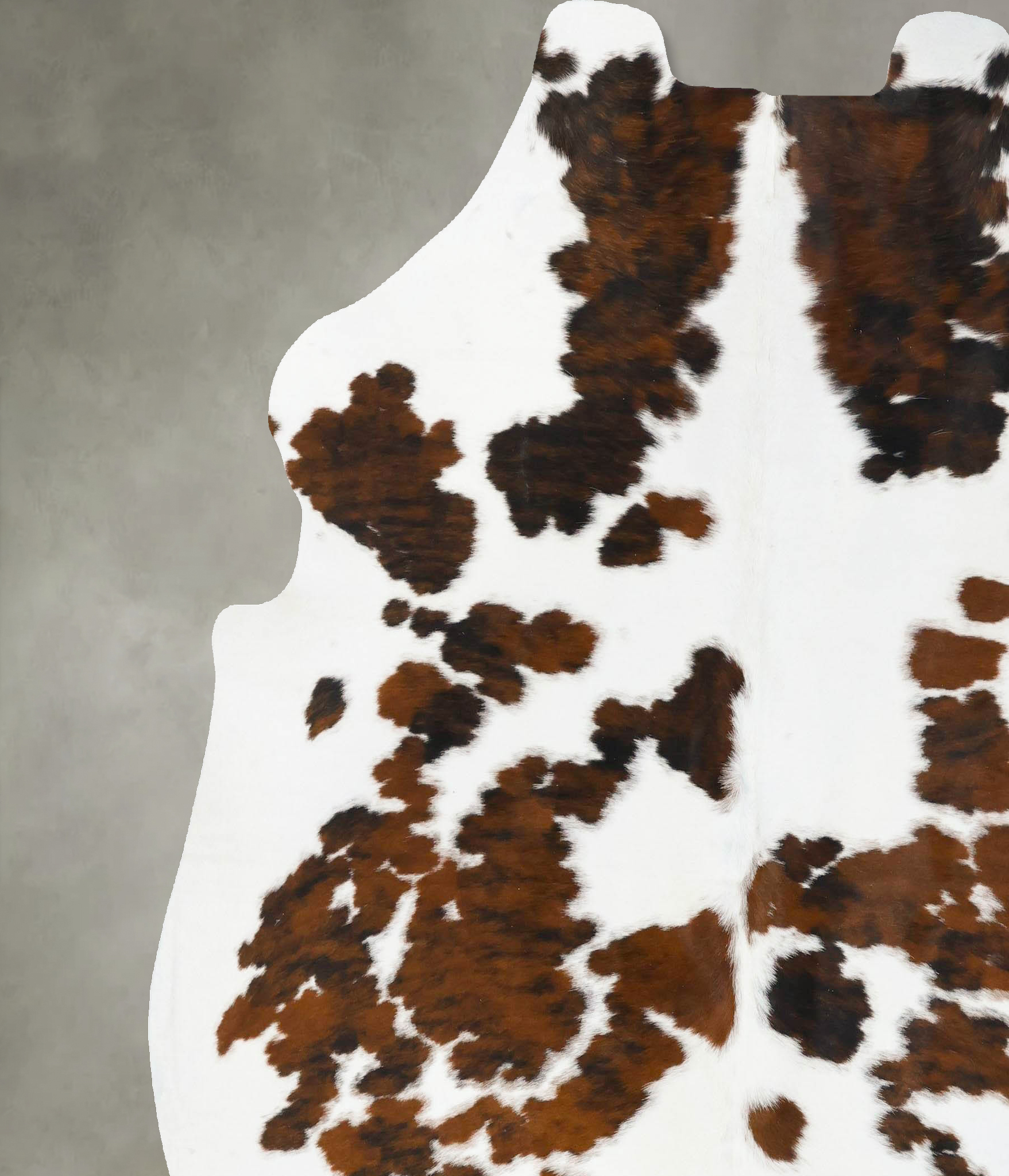 Tricolor Cowhide Rug #B23813