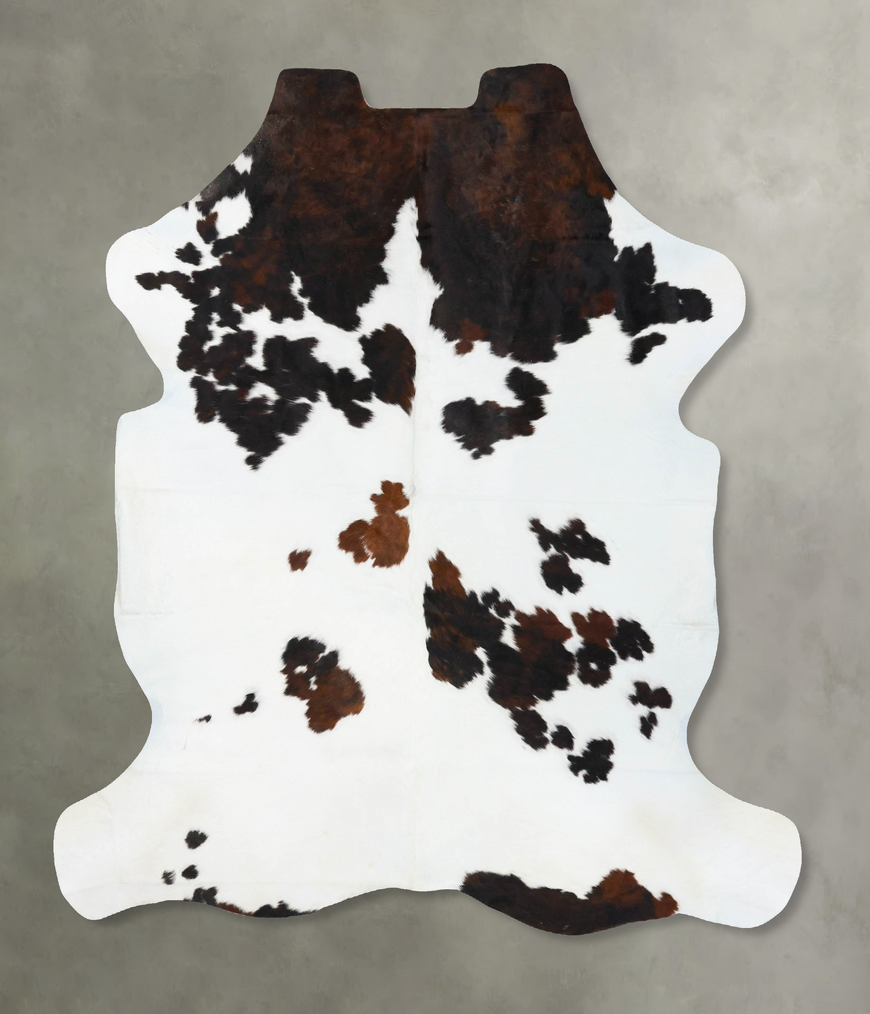 Tricolor Cowhide Rug #B23816