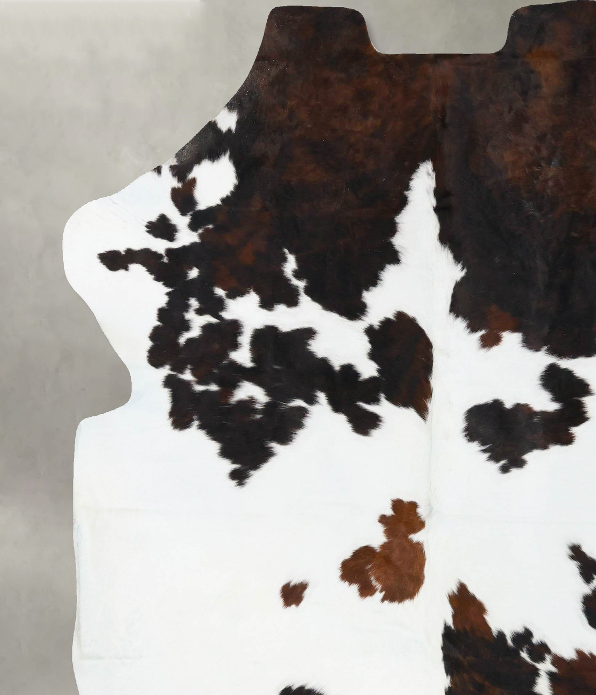 Tricolor X-Large European Cowhide Rug 7'7"H x 6'7"W #B23816 by Hudson Hides