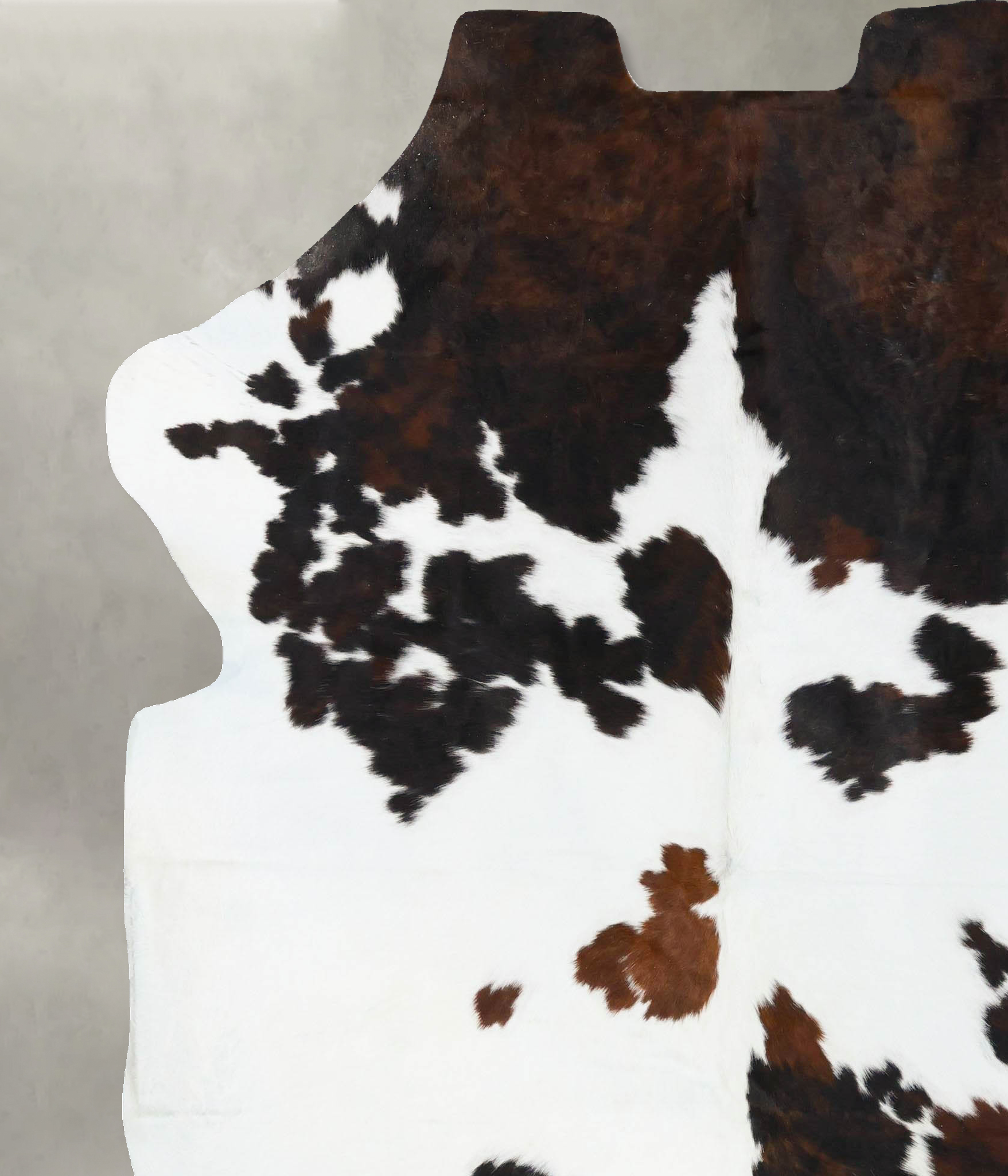 Tricolor Cowhide Rug #B23816
