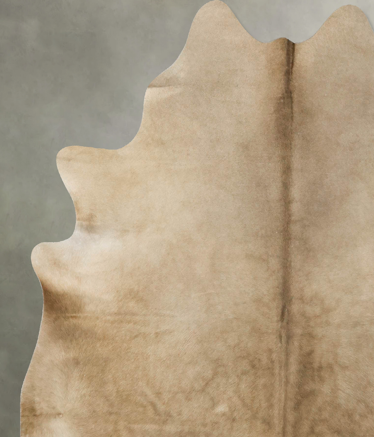 Taupe XX-Large Brazilian Cowhide Rug 6'8"H x 6'0"W #B23826 by Hudson Hides