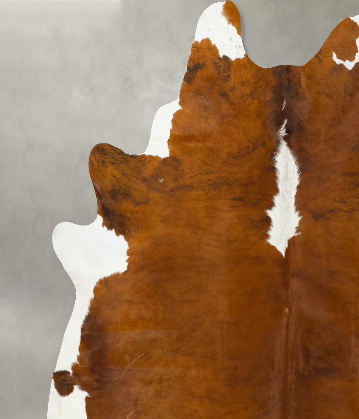 Medium Brindle XX-Large Brazilian Cowhide Rug 8'0"H x 6'9"W #B23836 by Hudson Hides