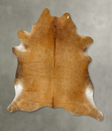 Solid Brown XX-Large Brazilian Cowhide Rug 7'11"H x 7'0"W #B23839 by Hudson Hides