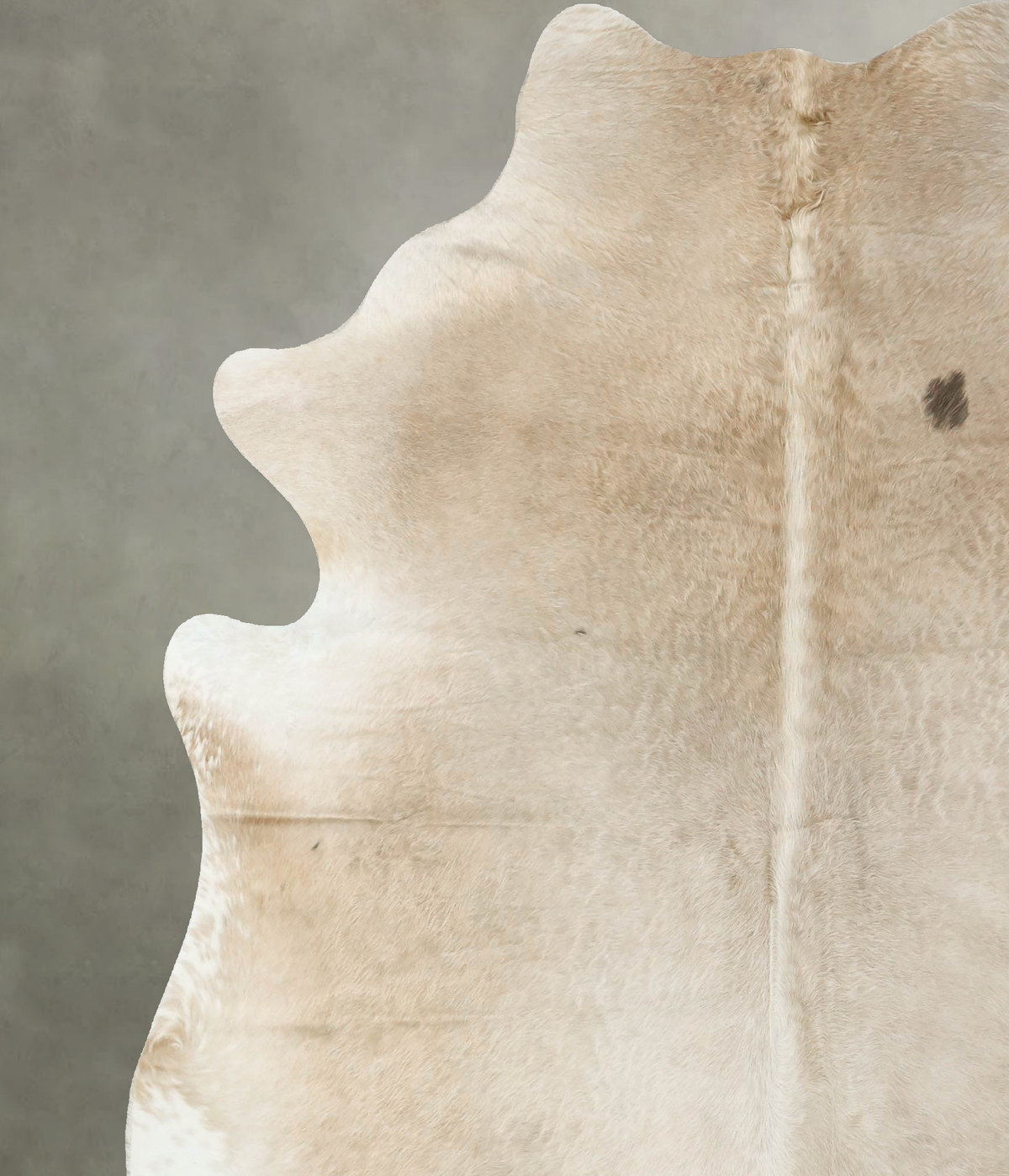 Champagne Cowhide Rug #B23848