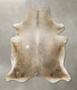 Taupe XX-Large Brazilian Cowhide Rug 8'4"H x 7'4"W #B23859 by Hudson Hides