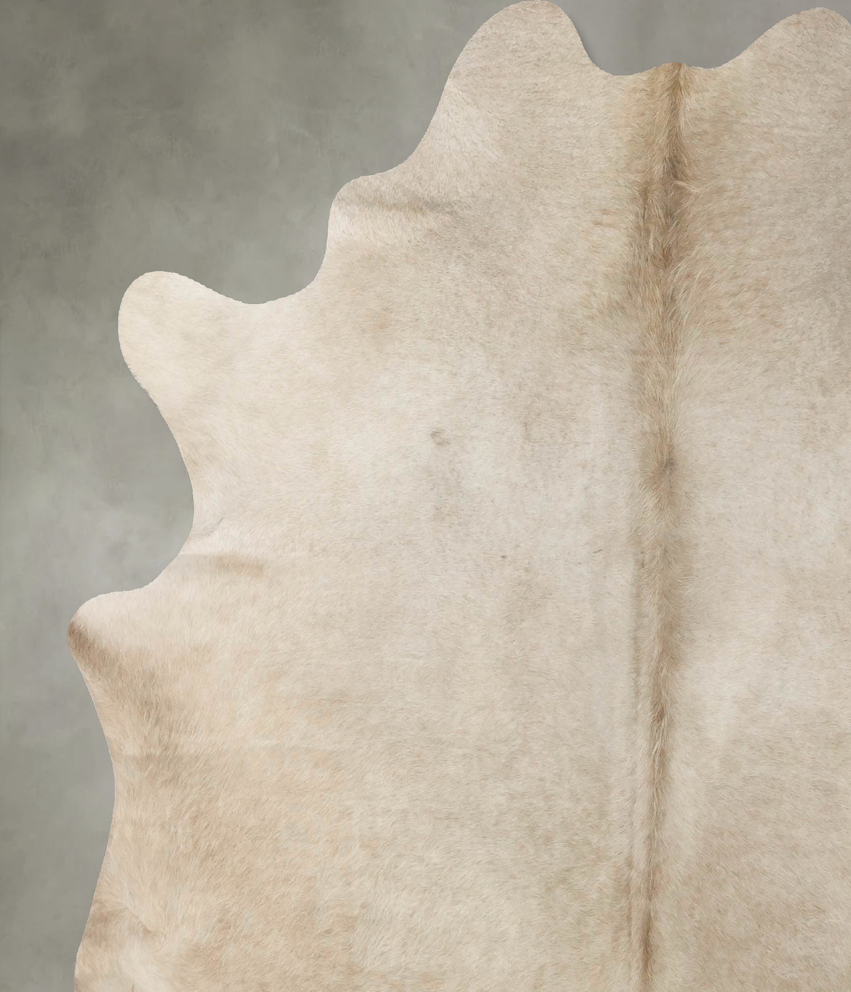 Champagne X-Large Brazilian Cowhide Rug 7'4"H x 6'7"W #B23870 by Hudson Hides