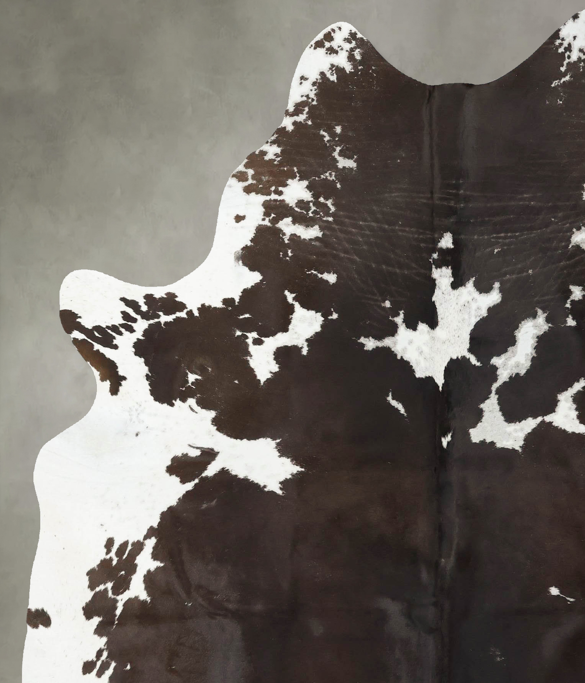 Chocolate and White Cowhide Rug #B23881