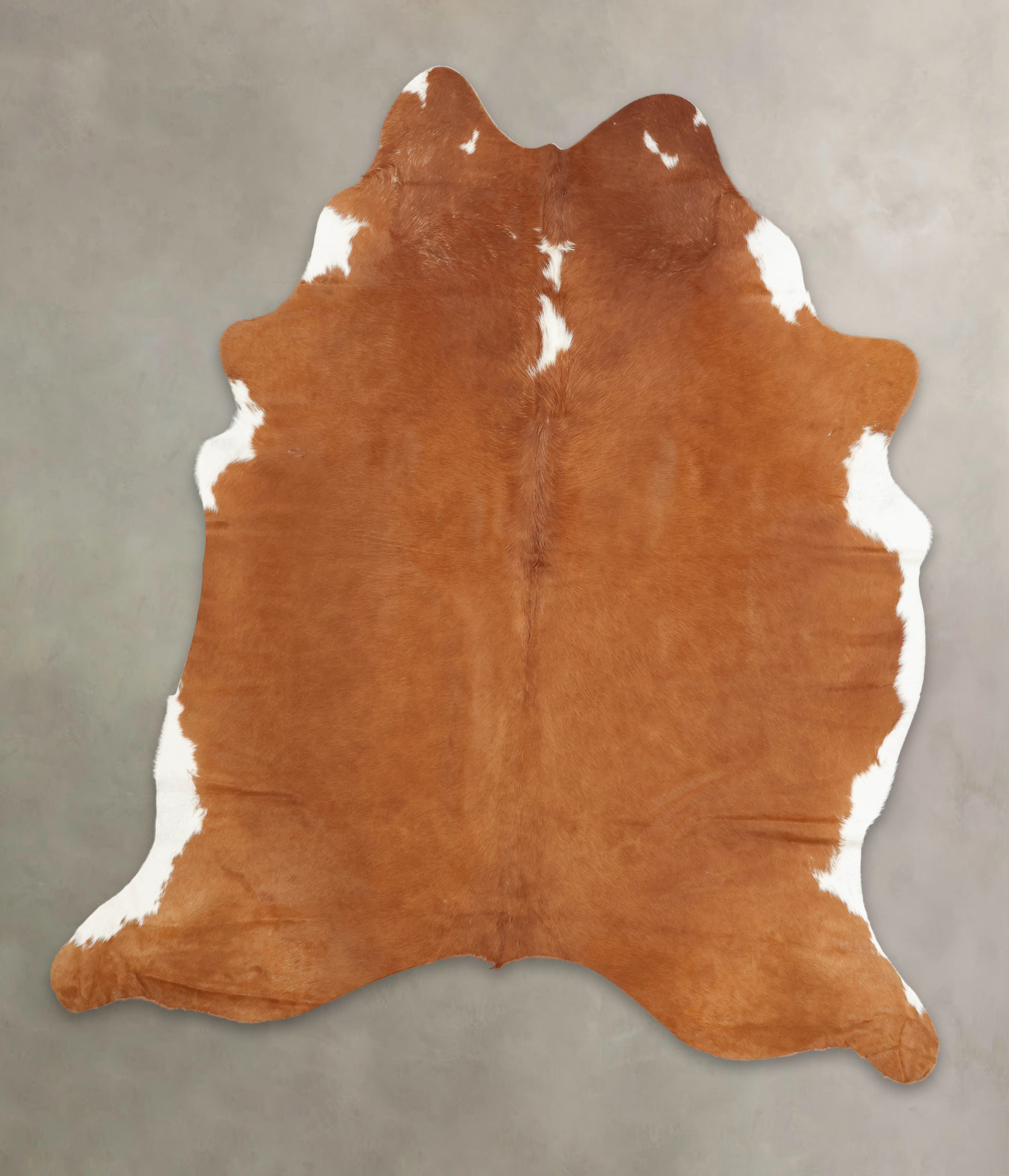 Brown and White Regular Cowhide Rug #B2391