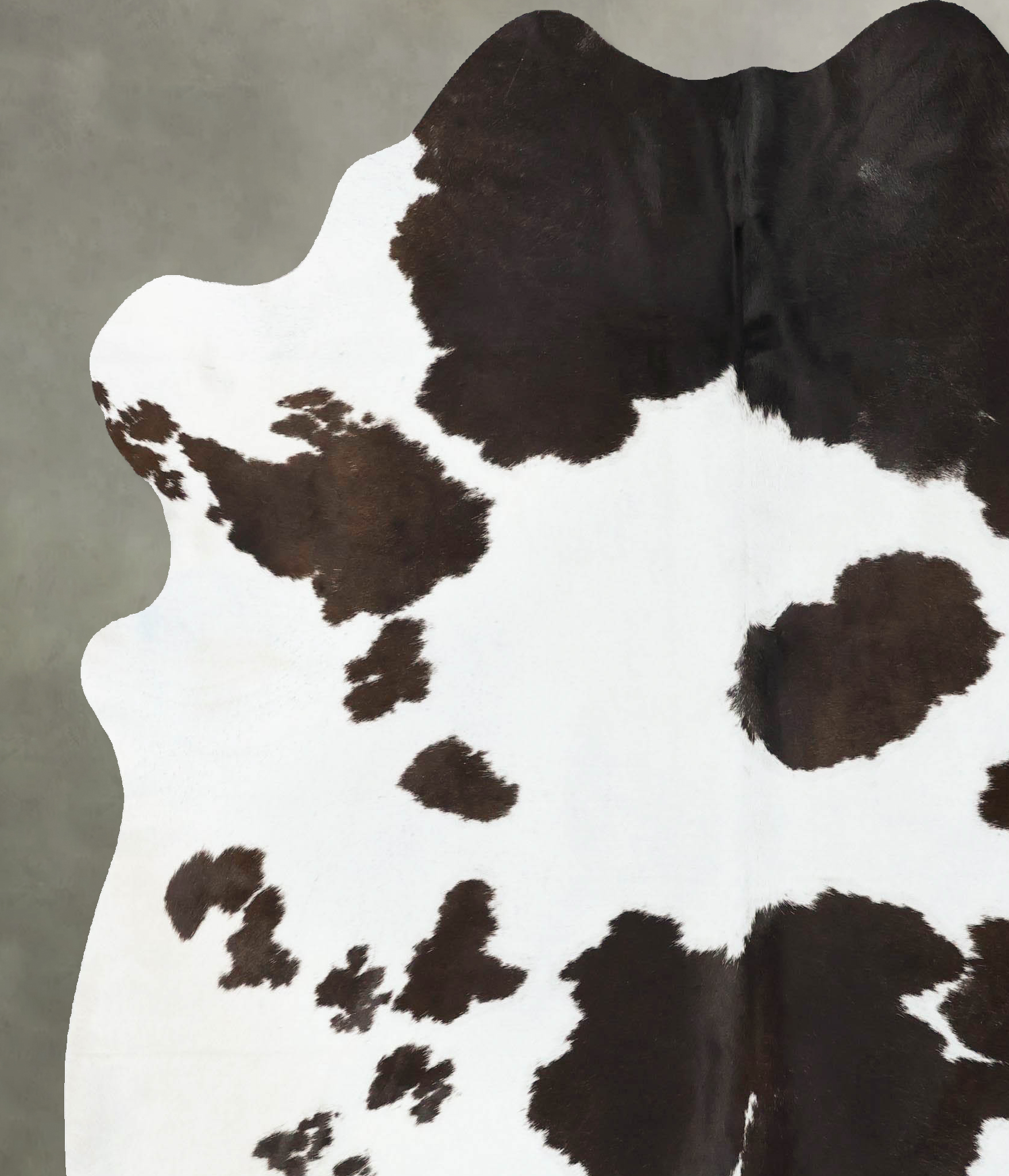 Chocolate and White Cowhide Rug #B23914