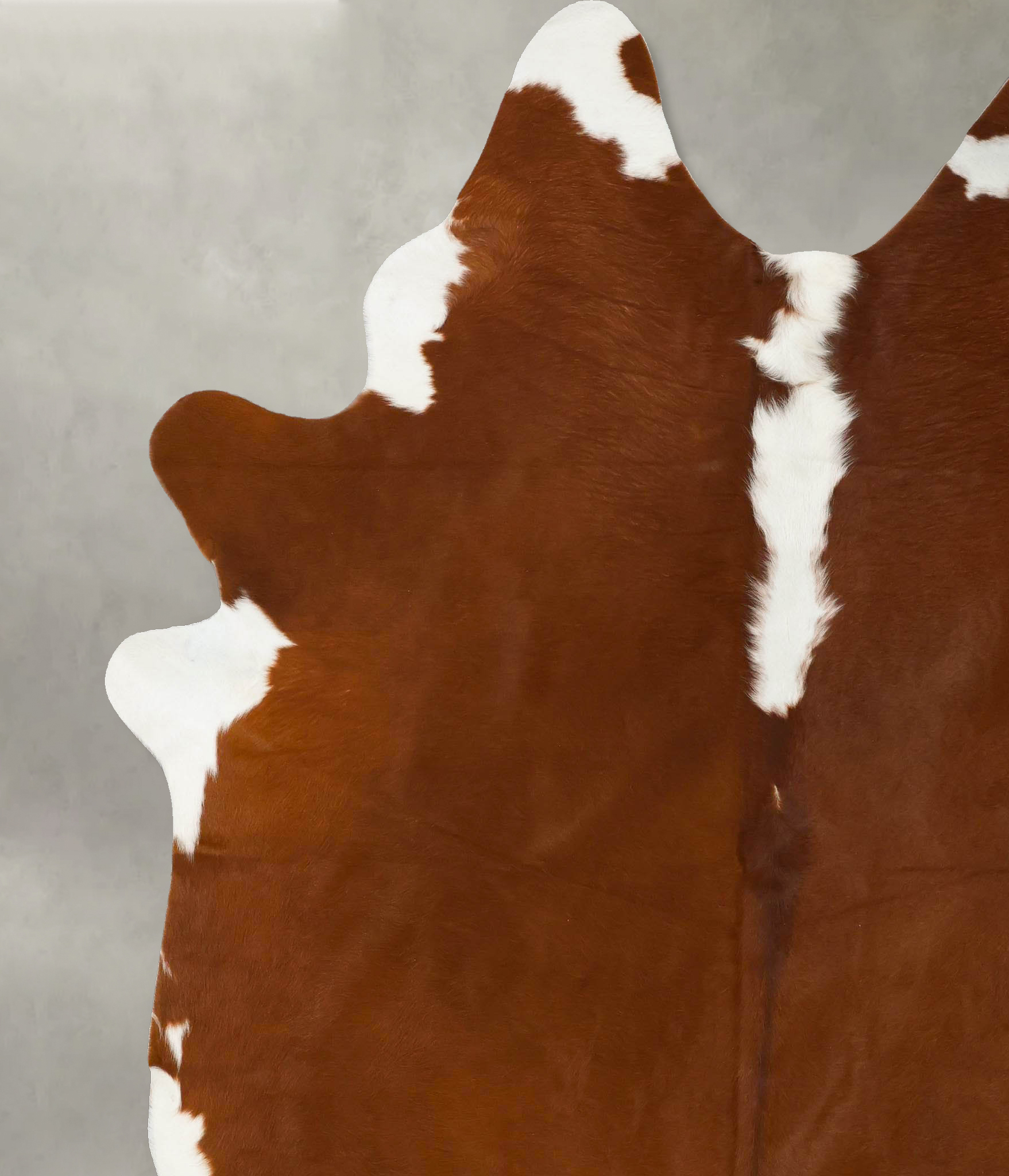 Hereford Cowhide Rug #B23937