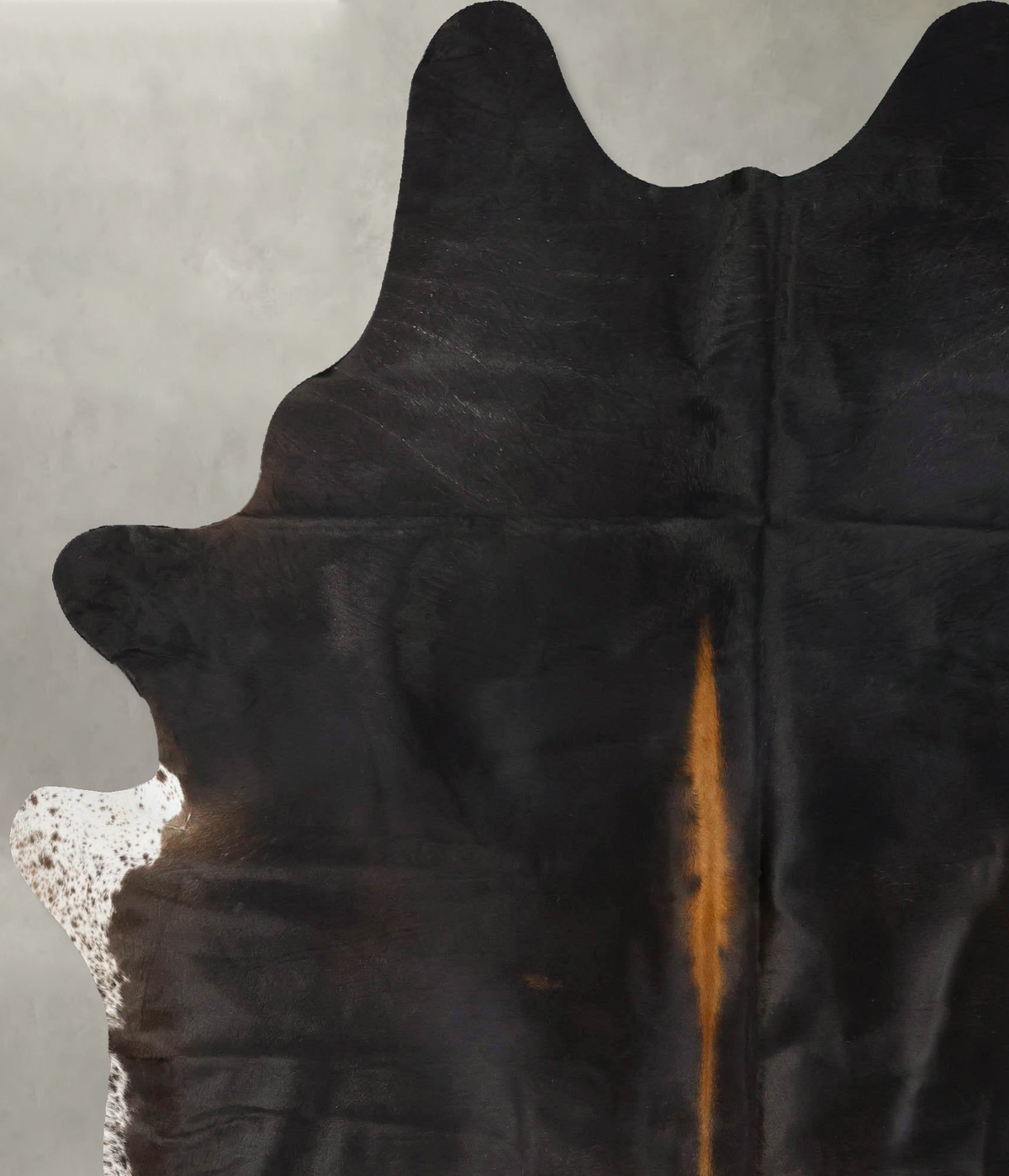 Chocolate and White XX-Large Brazilian Cowhide Rug 8'2"H x 6'8"W #B23939 by Hudson Hides