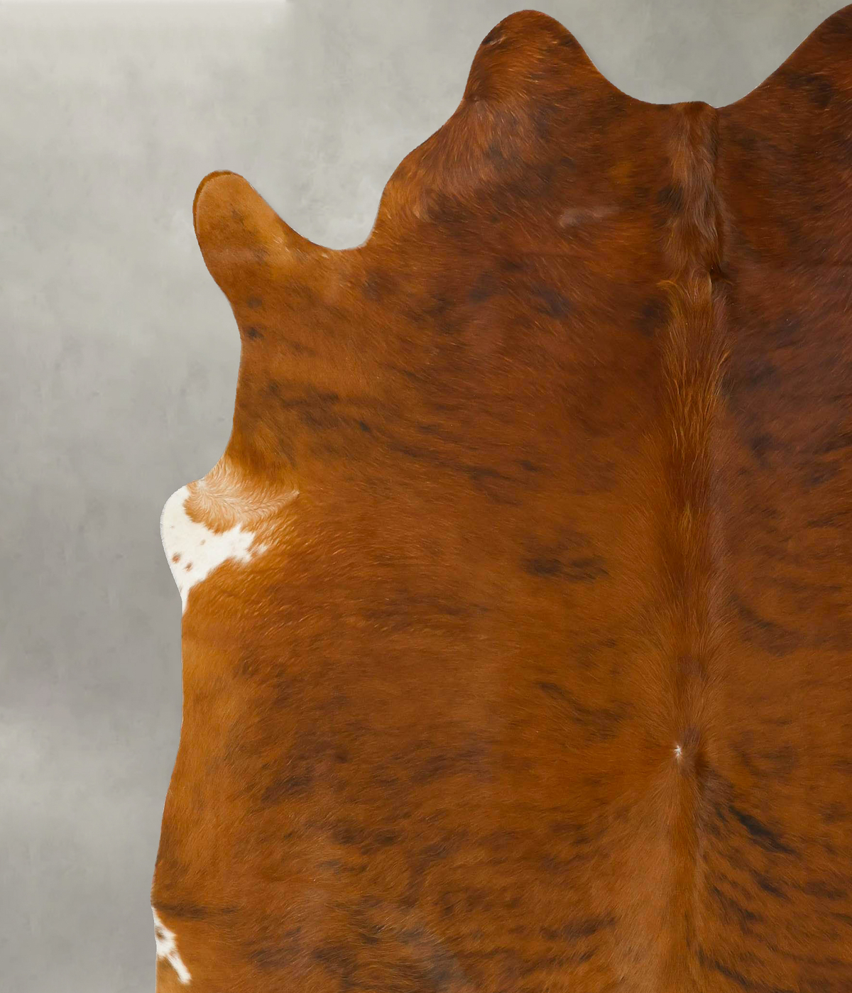 Medium Brindle XX-Large Brazilian Cowhide Rug 7'9"H x 6'11"W #B23942 by Hudson Hides