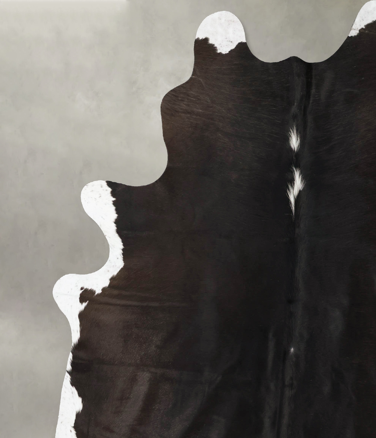 Chocolate and White XX-Large Brazilian Cowhide Rug 9'3"H x 7'9"W #B23944 by Hudson Hides