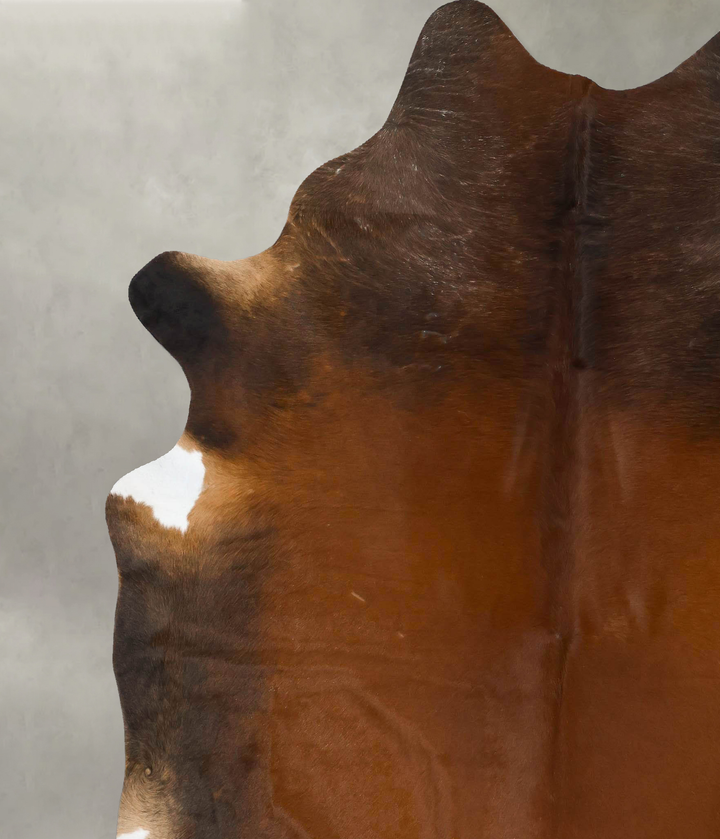 Warm Caramel XX-Large Brazilian Cowhide Rug 7'11"H x 6'11"W #B23958 by Hudson Hides