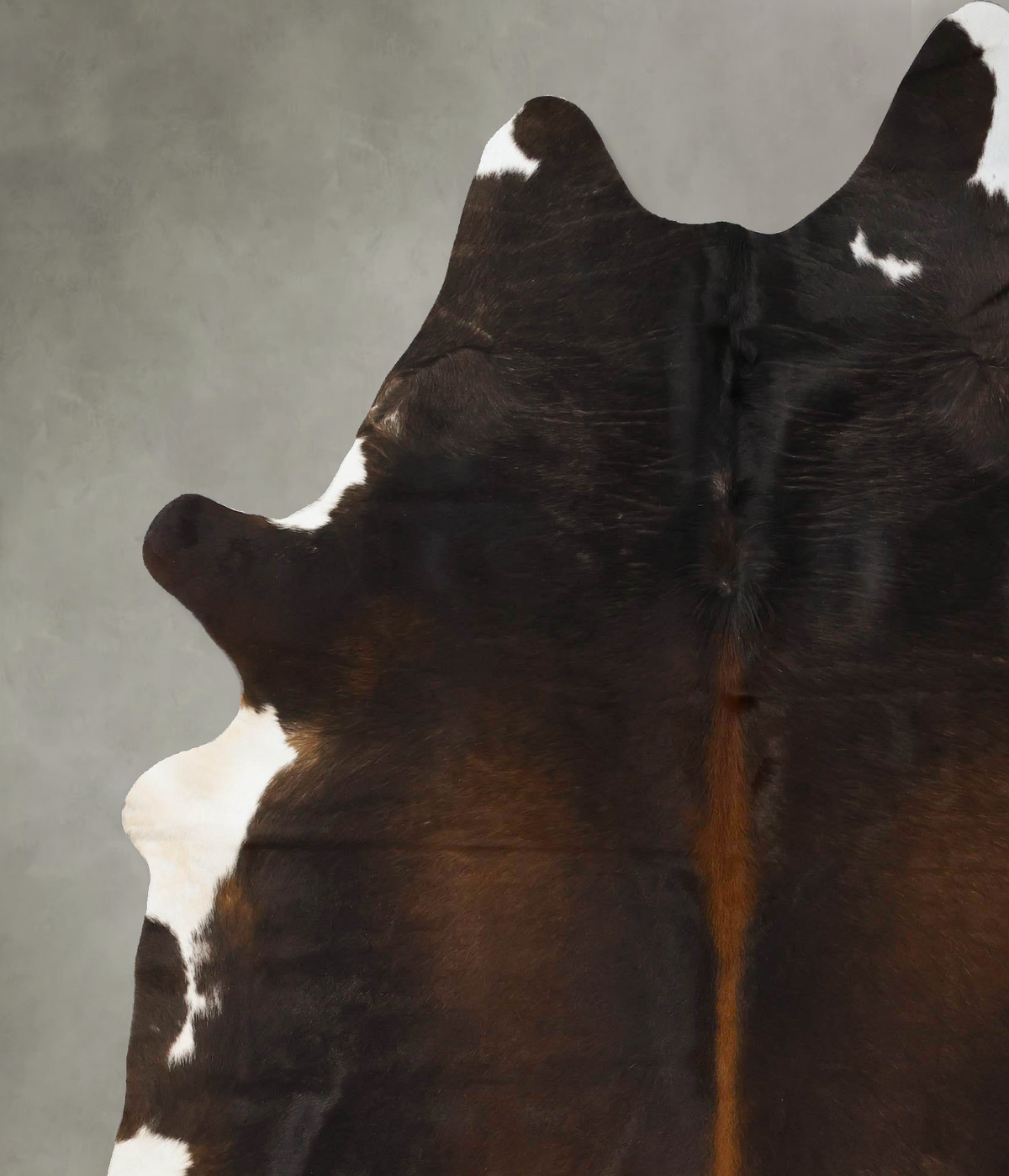Chocolate and White XX-Large Brazilian Cowhide Rug 8'2"H x 6'7"W #B23966 by Hudson Hides