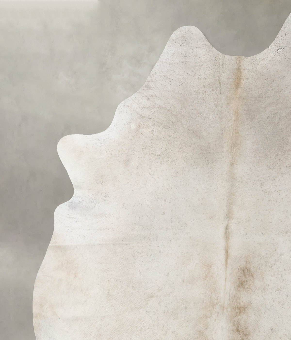 Champagne XX-Large Brazilian Cowhide Rug 8'2"H x 6'6"W #B23975 by Hudson Hides