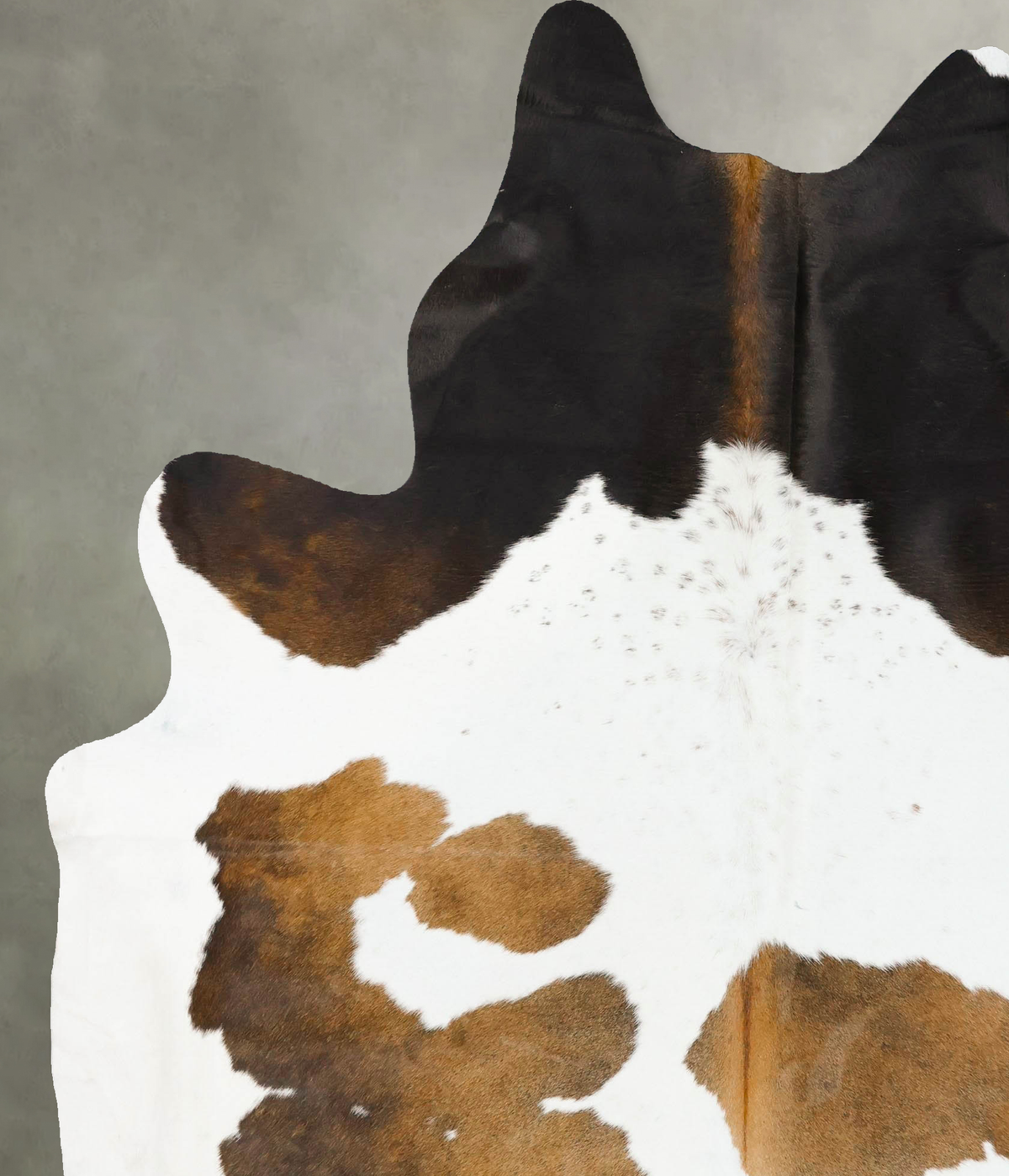 Chocolate and White Cowhide Rug #B23977