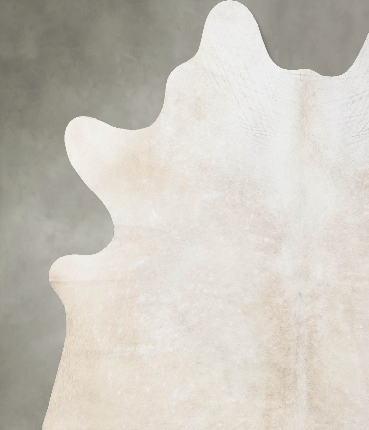 Ivory with Beige X-Large Brazilian Cowhide Rug 6'11"H x 6'0"W #B23985 by Hudson Hides