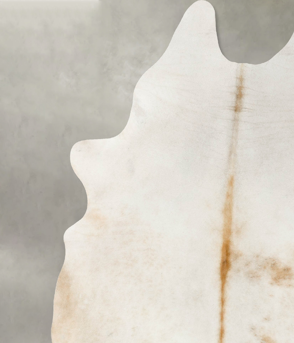 Ivory with Beige Cowhide Rug #B23986