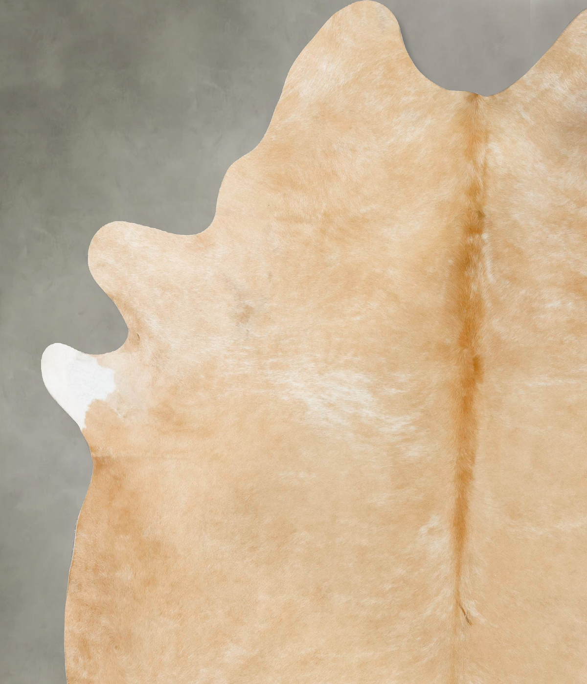Palomino XX-Large Brazilian Cowhide Rug 9'6"H x 7'9"W #B23991 by Hudson Hides