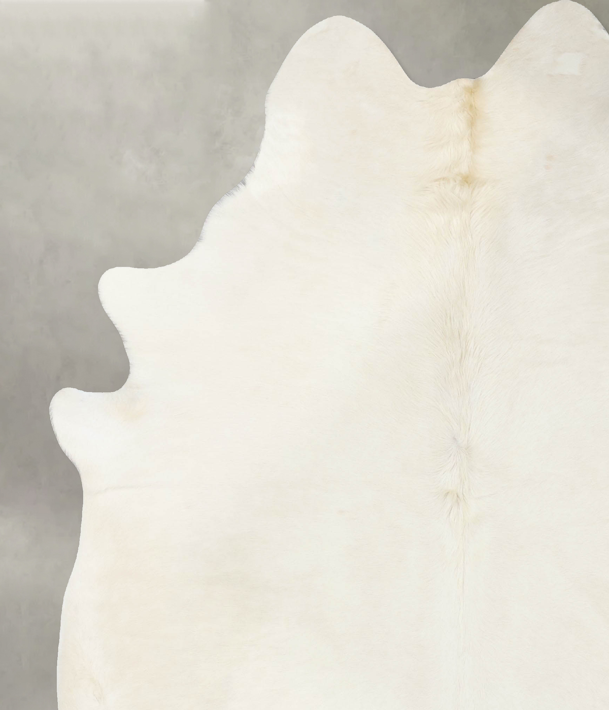 Solid White XX-Large Brazilian Cowhide Rug 8'5"H x 6'10"W #B24004 by Hudson Hides