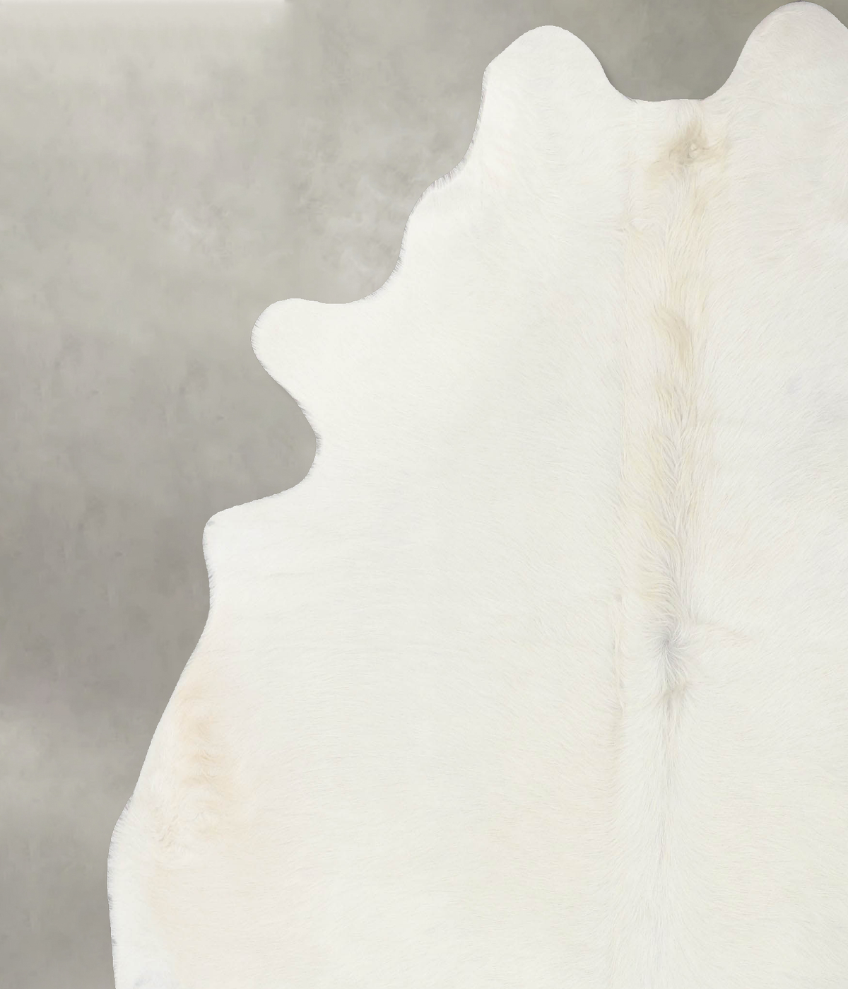 Solid White XX-Large Brazilian Cowhide Rug 7'7"H x 6'10"W #B24005 by Hudson Hides