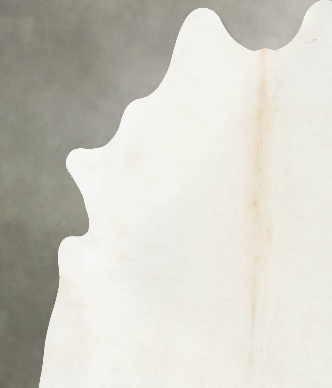 Solid White XX-Large Brazilian Cowhide Rug 7'11"H x 6'11"W #B24007 by 