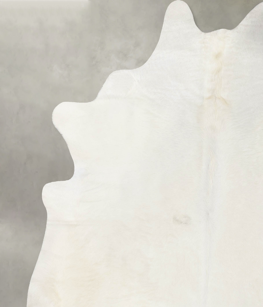 Solid White XX-Large Brazilian Cowhide Rug 8'4"H x 7'2"W #B24010 by Hu