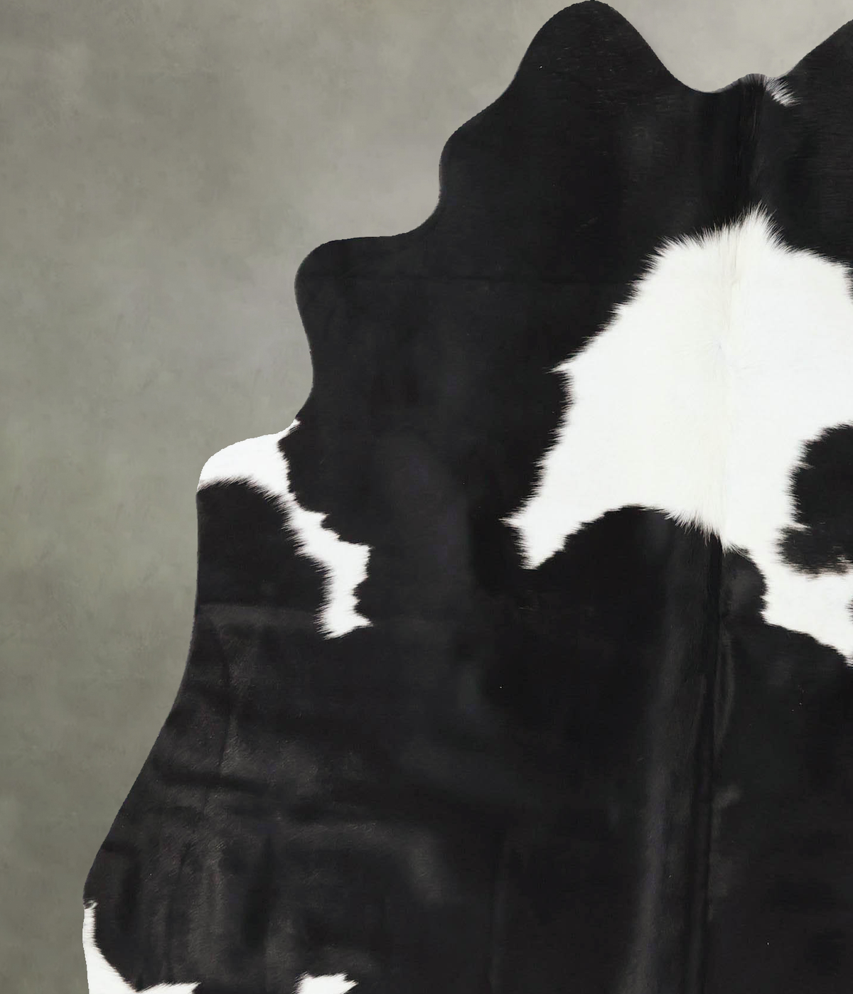 Black and White Large Brazilian Cowhide Rug 6'6"H x 5'8"W #B24011 by Hudson Hides