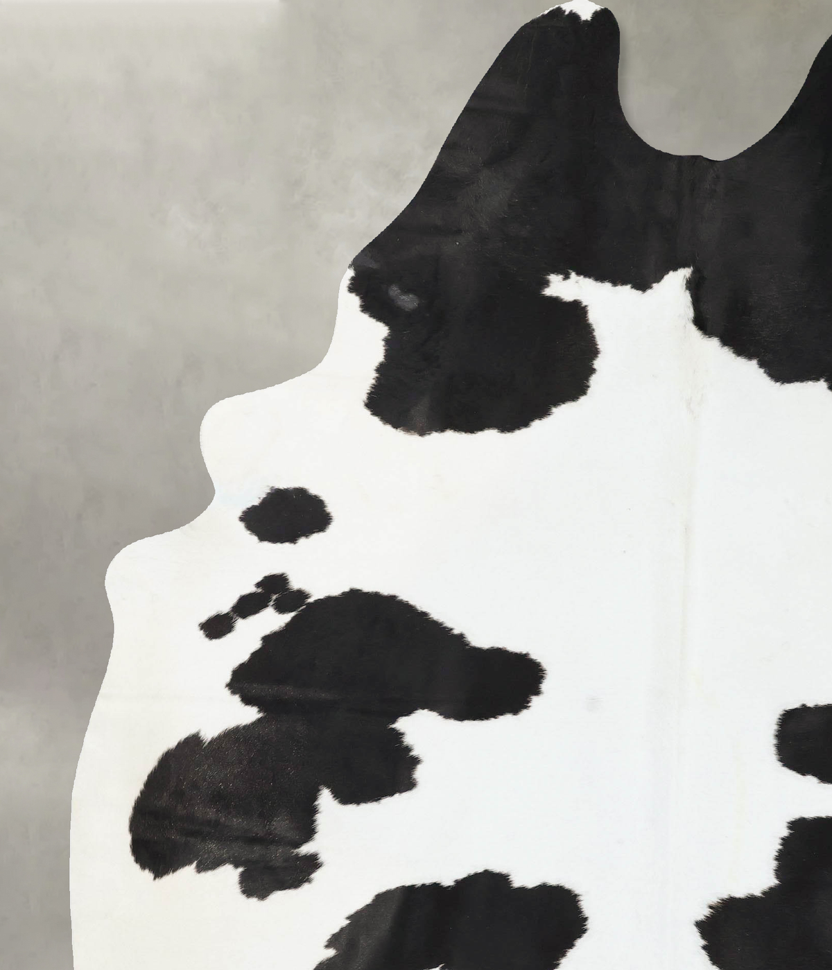 Black and White XX-Large Brazilian Cowhide Rug 8'6"H x 6'4"W #B24020 by Hudson Hides